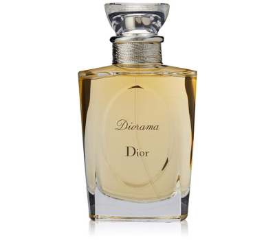 You are currently viewing Glamorous Christian Dior Diorama  3.4